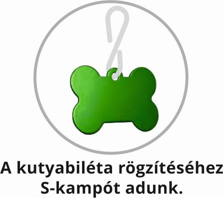 Kutya - macska biléta - kör új